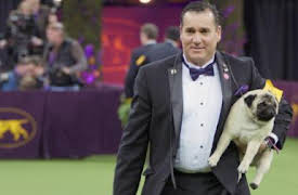 7 Days Out: Westminster Dog Show