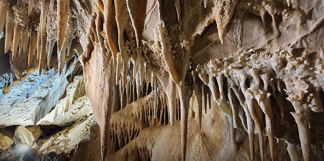 16:25: Grandes Documentales Espacios Naturales Espectaculares | LA 2 | 1/19 2026