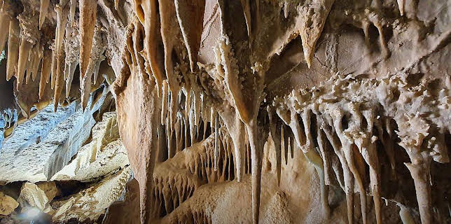 Grandes Documentales Espacios Naturales Espectaculares