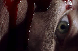 I'd Kill For You Season 1: Smoky Mountain Murder