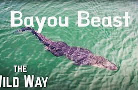 The Wild Way: The Wild Way | Bayou Beast