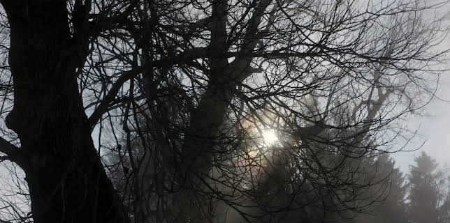 16:15: Bayerns Naturdenkmäler (2/2) | 3SAT | 11/18 2025