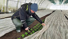Frost, Schnee und knackiges Gemüse