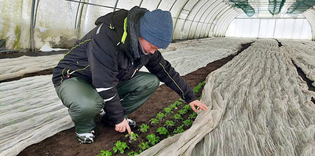 21:45: Frost, Schnee und knackiges Gemüse | ARD Alpha | 12/8 2025