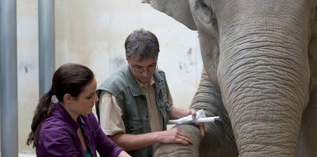 14:45: Tierärztin Dr. Mertens (S03/E03) | One | 3/23 2026