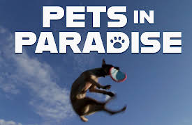 Pets in Paradise TV: Frisbee Dogs