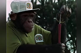 Lancelot Link: Secret Chimp: Lancelot Link: Secret Chimp - The Dreaded Hong Kong Sneeze / The Great Bank Robbery