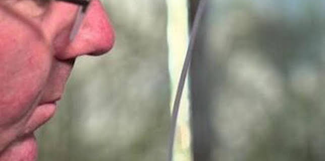 06:46: ¿Cómo lo hacen? Mundo animal: Hienas hambrientas y delfines inteligentes | Discovery Max | 3/8 2026