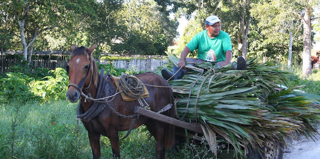 05:20: How Do They Do It? (S9 E1) (S9) | Kanal 9 | 3/13 2026