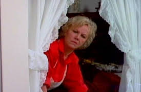 Matlock Season 1: The Author