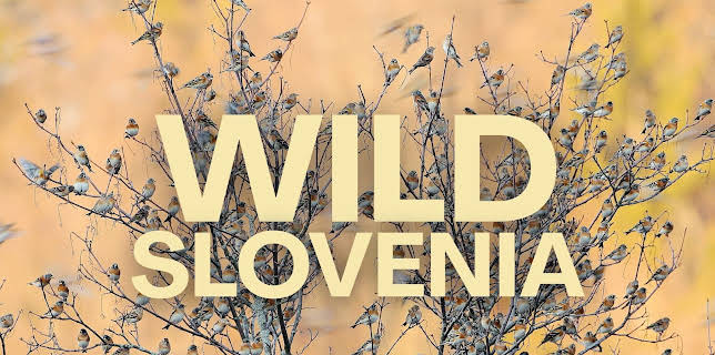 Wild Slovenia (2021)