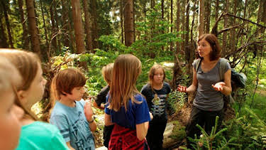 10:45: Die Waldmeister | BR Fernsehen | 4/6 2026