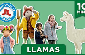 The Gumboot Kids: Llamas