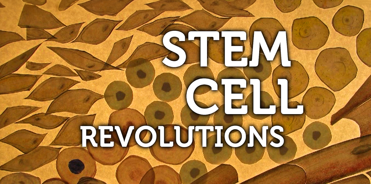 Stem Cell Revolutions (2011)