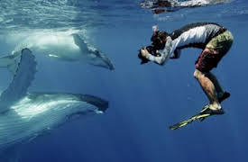 Berättelserna bakom bilderna: Undervattensvärld