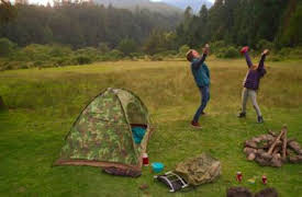 La casa de las flores: TUSSILAGO (symboliserar bekymmer)