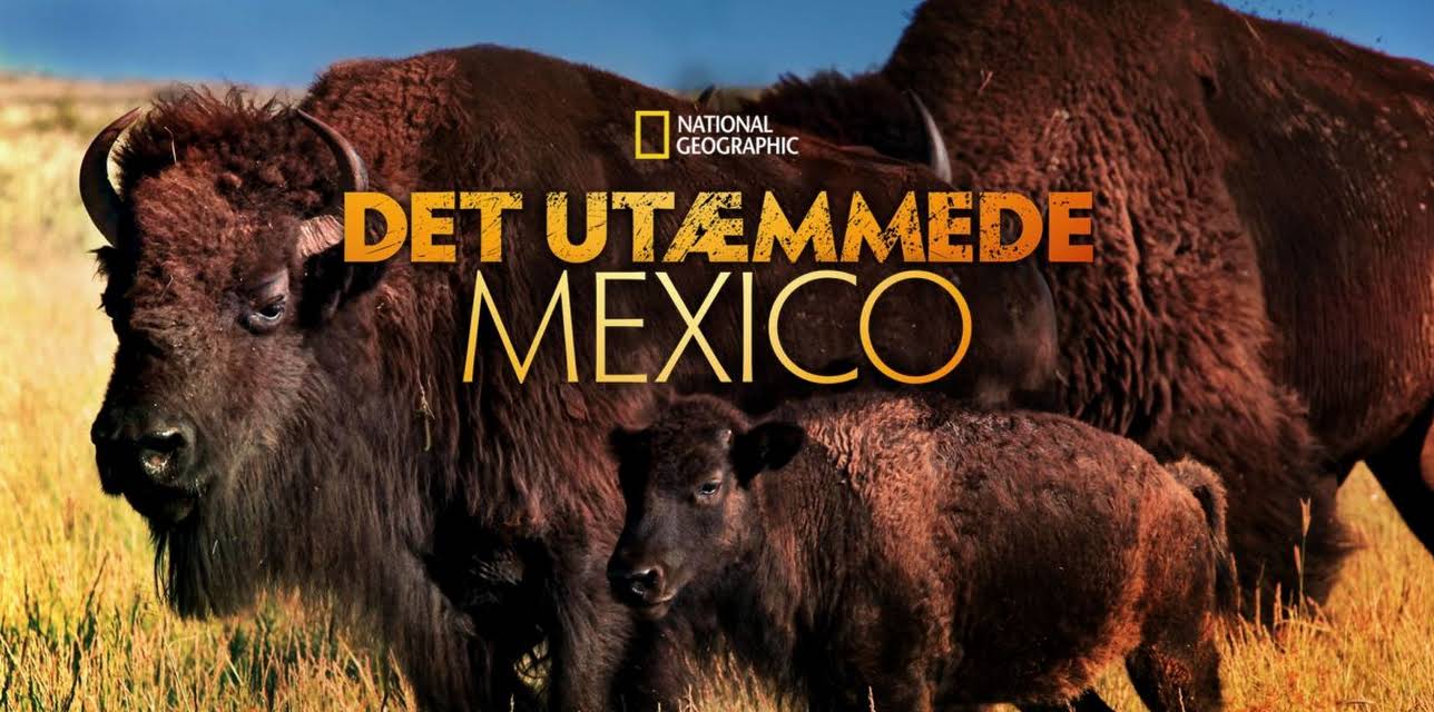 Mexico Untamed