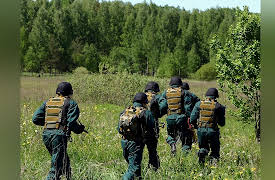 Stress and Your Body: Stress and Male Reproduction