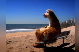 It's a Big Big World: On the Road, Season 1: At the Ocean