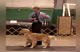 Going to the Dogs: The Two Quincys