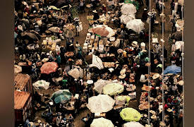 Footprint Of Civilization: Agriculture