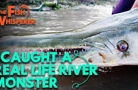 The Fish Whisperer: I Caught a Real Life River Monster!
