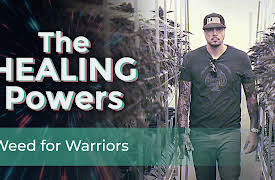 Healing Powers: Weed for Warriors