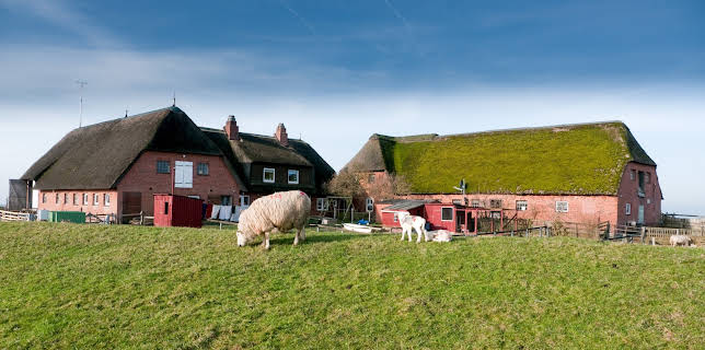04:20: Extrem! Von höchsten Höhen bis unters Meer | 3SAT | 12/3 2025