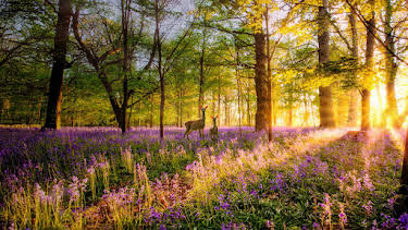 7:00 PM: Love Nature | Channel 5 | 4/7 2026