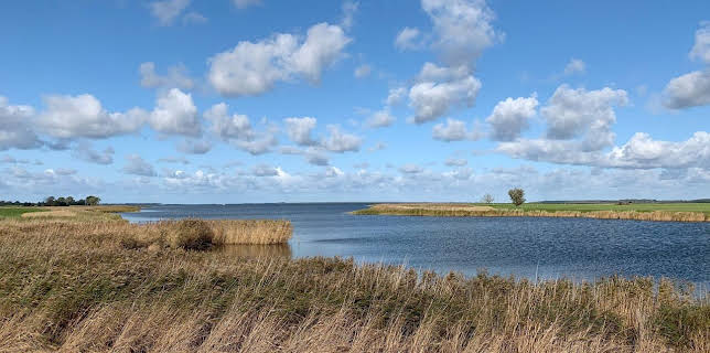 07:40: GEO Reportage | Arte | 3/7 2026