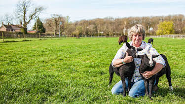 10:00 AM: The Yorkshire Vet (S11 E4) (S11) | 5 Select | 2/24 2026