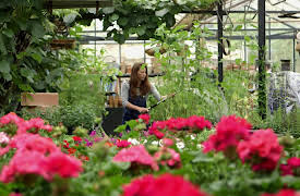 Inside Out Homes: Venables/ McCarthy