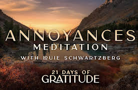 21 Days of Gratitude: Annoyances - Meditation