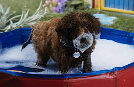 Mittens and Pants: Bath Time