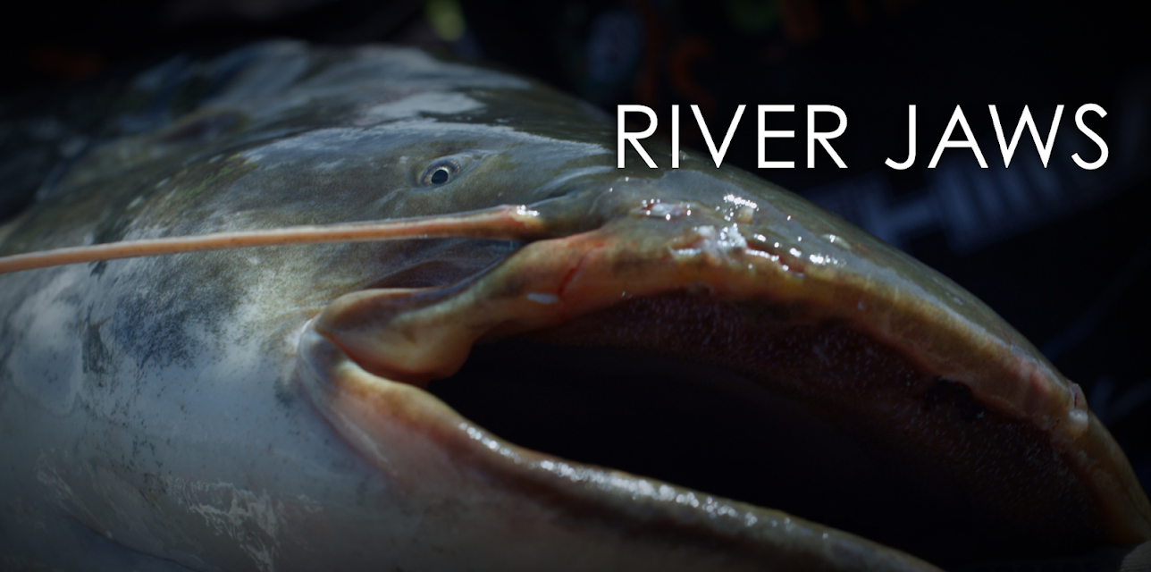 River Jaws (2015)