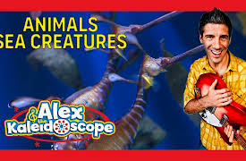 Alex & The Kaleidoscope: ANIMALS - SEA CREATURES