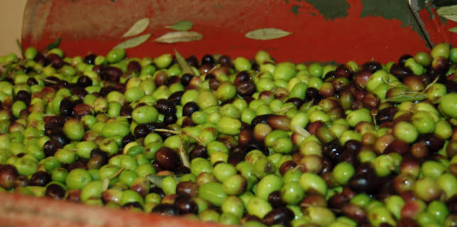 05:35: How Do They Do It? (S8 E7) (S8) | Kanal 9 | 3/2 2026