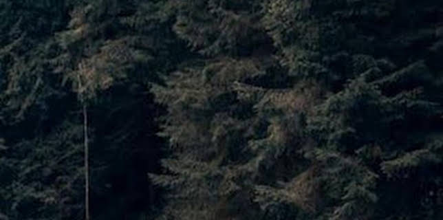 14:00: Vuelta Ciclista Andalucía | Andalucía TV | 2/20 2026