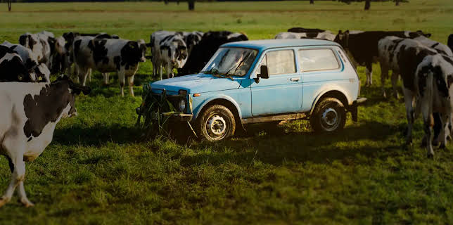 Goodbye Berlin (2016)