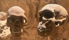 Woher wissen wir das?