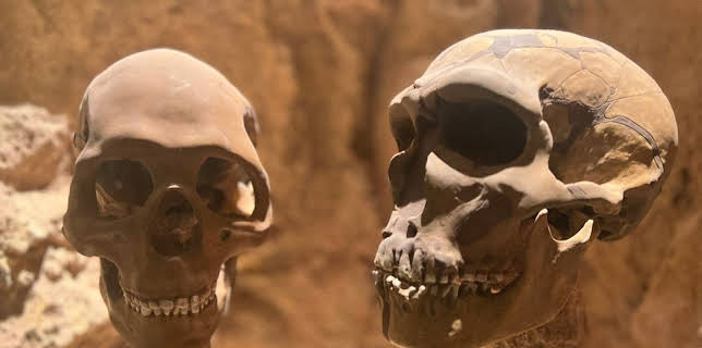 05:45: Woher wissen wir das? | SWR Fernsehen RP | 3/4 2026