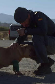 21:30: Seprona en acción: Episodio 5 | Discovery Max | 6/28 2026