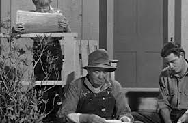 The Real McCoys: Grandpa's Date