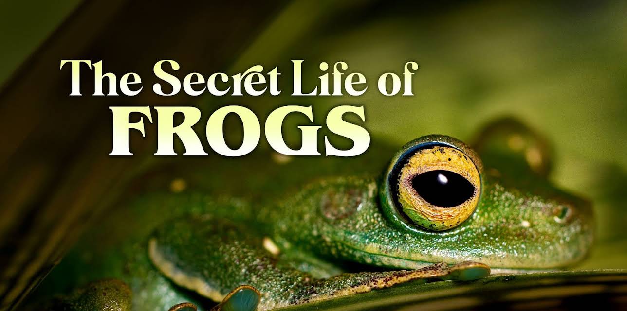 The Secret Life of Frogs (2026)