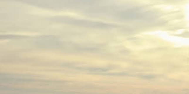 In the Sea: A Dive Into Knowledge (2018)