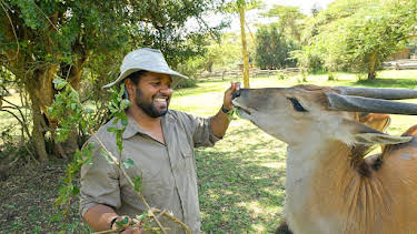 10:55 AM: Hamza Loves Animals: Africa (S1) | Cbeebies | 6/30 2026