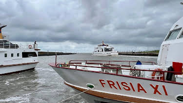 17:15: Nordseereport - Urlaubshafen Norddeich | NDR Fernsehen | 8/8 2026
