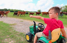 pocket.watch Hudson's Playground Ultimate mishmash: Exploring Green Pastures!