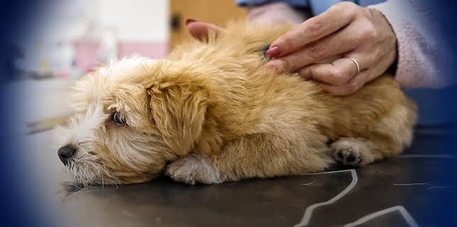 10:40 PM: Panorama | BBC One Northern Ireland | 1/12 2026