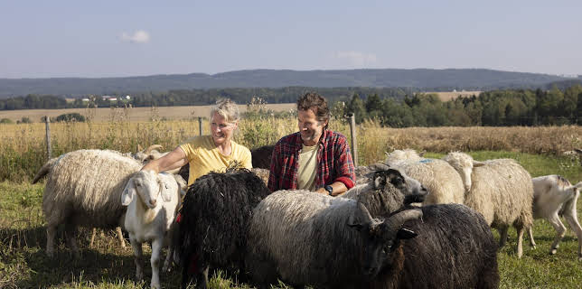 23:00: Jon blir bonde (S1 E4) (S1) | TVNorge | 12/7 2025